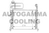 FIAT 60766676 Radiator, engine cooling